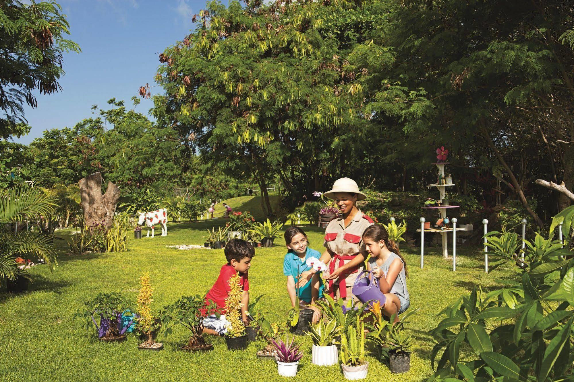 Now Garden Punta Cana Luaran gambar